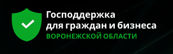 Господдержка в условиях санкций ВО